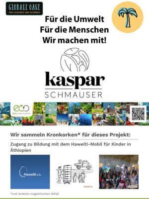 Plakat Eco Projects Hoch Kaspar Schmauser